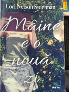 Maine e o Noua Zi - Lori Nelson Spielman