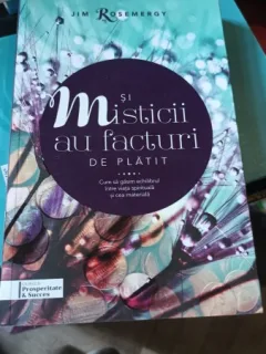 Si Misticii au Facturi de Platit (cum sa gasim echilibrul intre viata spirituala si cea materiala) - Jim Rosemergy
