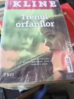 Trenul Orfanilor - Christina Baker Kline