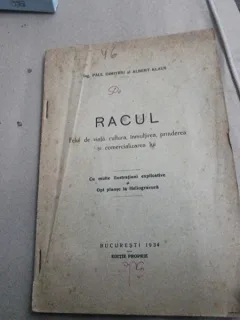 RACUL, FELUL DE VIATA, CULTURA, INMULTIREA, PRINDEREA SI COMERCIALIZAREA LUI de G.P. DIMITRIU SI ALBERT KLAUS, AFARA DE TEXT, LIPSA COPERTA BROSATA ORIGINALA  40 de lei