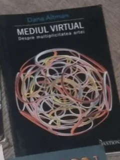 Dana Altman - Mediul Virtual. Despre Multiplicarea Artei