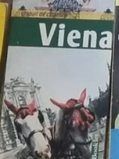 Carmen Stefania Neacsu - Viena, Ghid de Calatorie