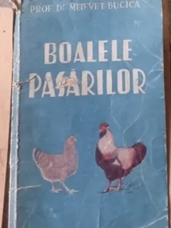 Med. Vet. Bucica - Boalele Pasarilor