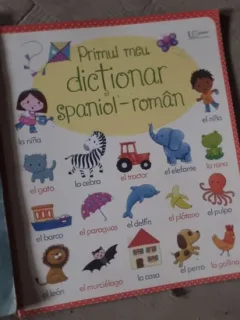 Felicity Brooks - Primul meu Dictionar Spaniol-Roman