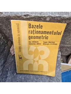 BAZELE RATIONAMENTULUI GEOMETRIC - DAN BRANZEI