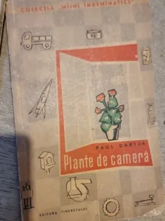 Paul Dabija - Plante de Camera