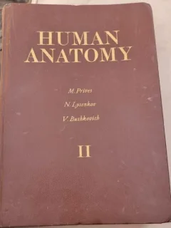 M. PRIVES, N. Lysenkov, V. Bushkovich - Human Anatomy Vol II