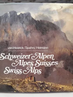 Schweizer Alpen - Edmond van Hoorick