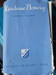 Gustave Flaubert - Madame Bovary Vol I