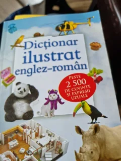 Corina Gaduta - Dictionar Ilustrat Englez-Roman. Peste 2500 de cuvinte si expresii uzuale