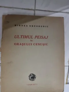 Ultimul peisaj al orasului cenusiu - Mihnea Gheorghiu