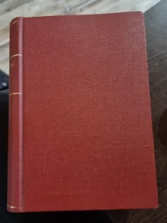 UN PORT LA RASARIT - RADU TUDORAN