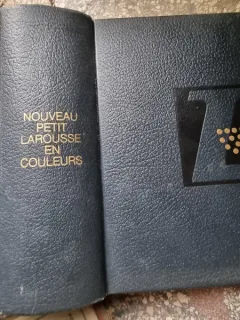 Nouveau Petit Larousse en Couleurs