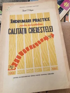 Iacob I. Iager - Indrumari Practice pentru imbunatatirea calitatii cherestelei