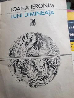 Luni dimineata - Ioana Ieronim