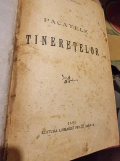 Păcatele tineretilor - Constantin Negruzzi