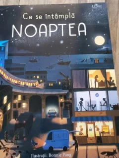 Ce se intampla noaptea - Laura Cowan, ilustratii Bonnie Pang