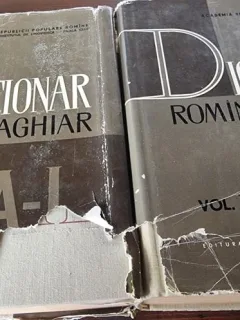 Dictionar Roman-Maghiar Vol. I si II