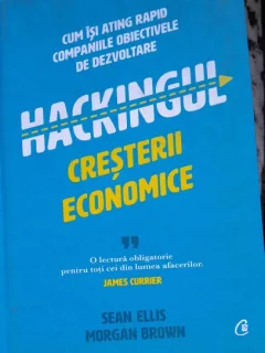 Hackingul cresterii economice - Sean Ellis