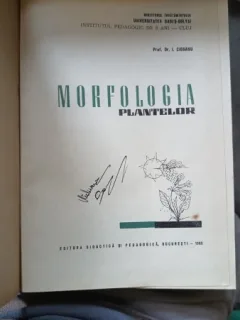 Morfologia plantelor - Ciobanu I