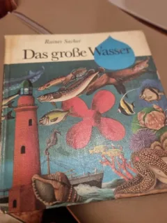 Das grosse Wasser - Rainer Sacher