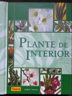 Plante de interior - Dorte Nissen