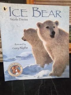 Ice Bear - Nicola davies