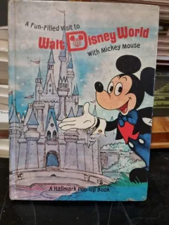 A Fan Filled Visit Walt Disney world with Mickey Mouse