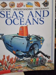 Seas and Oceans (Usborne Understanding Geography)