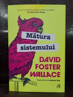 Matura sistemului - David Foster Wallace