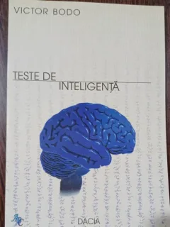 Teste de inteligenta - Victor Bodo