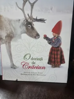 O dorinta de craciun - Lori Evert
