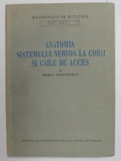 ANATOMIA SISTEMULUI NERVOS LA COBAI SI CAILE DE ACCES