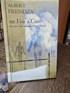 ne.Voie a.Cum - Acum este momentul potrivit - Albert Frendza