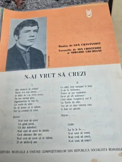 Partitura, N-ai vrut sa crezi - Ion Cristinoiu
