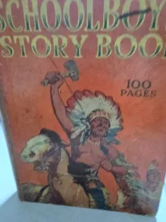Schoolboy s story book