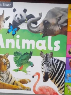 Animals (Animale - carte in limba engleza)