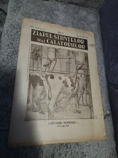 Ziarul Ştiinţelor şi al Călătorilor nr.13/1931