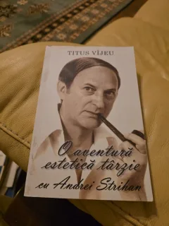 O aventură estetică târzie cu Andrei Strihan - Titus Vîjeu