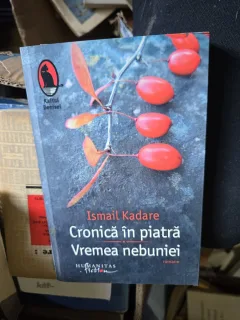 Cronică în piatră. Vremea nebuniei - Ismail Kadare