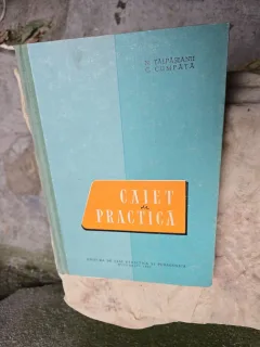 Caiet de practică - N. Tălpășeanu, C. Cumpătă