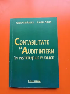 Contabilitate și Audit Intern în Instituțiile Publice - Aurelia Ștefănescu, Eugeniu Țurlea