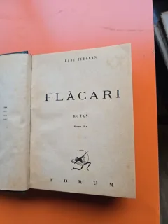 Flăcări - Radu Tudoran