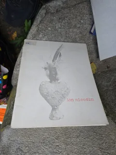 ion nicodim - Ion Nicodim