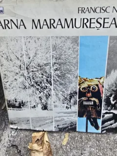 Iarna Maramureseana - Francisc Nistor