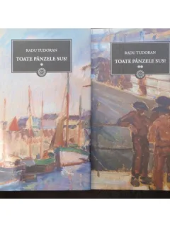 TOATE PANZELE SUS - RADU TUDORAN 2 VOLUME