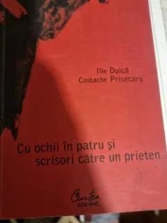 Cu ochii in patru si scrisori catre un prieten - Ilie Duica