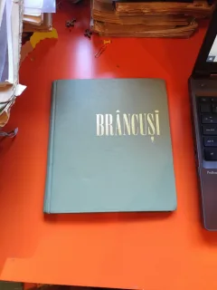 Brâncuși -