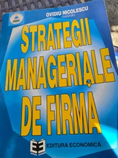 Strategii manageriale de firma - Ovidiu Nicolescu