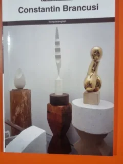Album de buzunar Constantin Brancusi